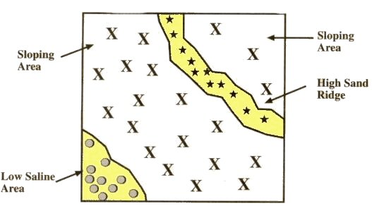 Landscape Directed or Zone Soil Sampling