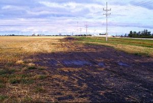 Example of saline soils and resulting reductions in crop growth