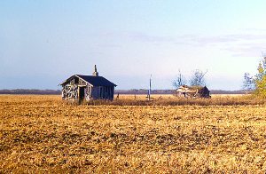 65% crop residue cover