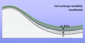 An undisturbed landscape prior to the effects of tillage erosion