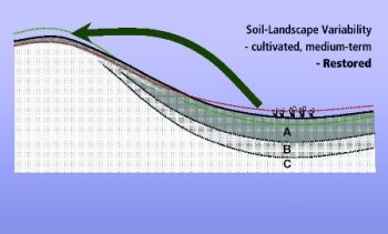 Landscape restoration