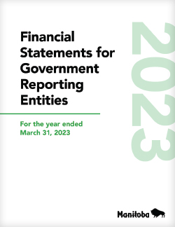 Financial Statements for Government Reporting Entities